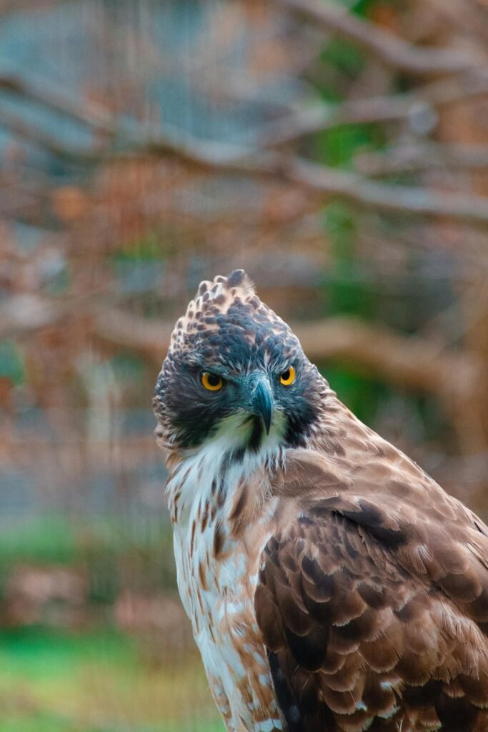 Atomic Habits: An Easy  Proven Way to Build Good Habits  Break Bad Ones      Hardcover – October 16, 2018